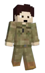 Custom render preview