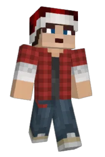 TheTiDi Minecraft avatar full body