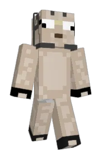 TheTurtleGod Minecraft avatar full body