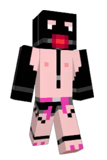 TheWillow Minecraft avatar full body