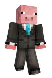 TheZipp0 Minecraft avatar full body
