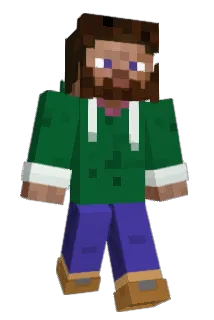 The_Brin Minecraft avatar full body