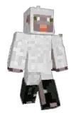 The_Doctorgoose Minecraft avatar full body