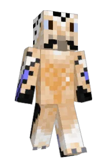 The_Gaming_Jay Minecraft avatar full body