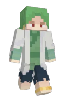 The_SoupMan4 Minecraft avatar full body