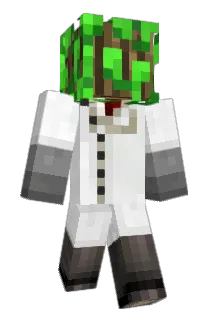Theeum Minecraft avatar full body