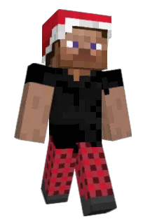 Thegamer1508 Minecraft avatar full body