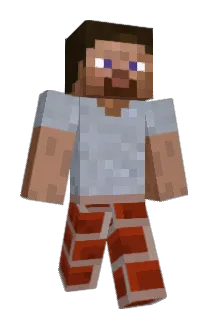 Themadninjaguy Minecraft avatar full body