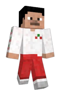 Thenoob2233 Minecraft avatar full body