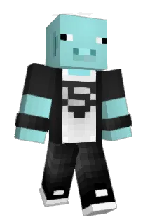 Theschweini5399 Minecraft avatar full body