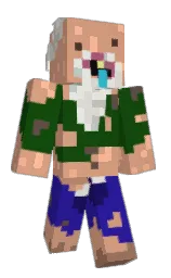 Custom render preview