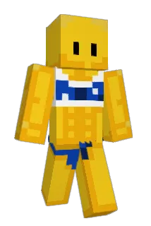 Thiefslayer Minecraft avatar full body