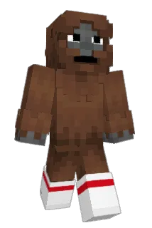 ThoseSocks Minecraft avatar full body