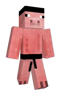 Thurthy Minecraft avatar full body