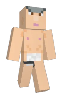 Ti1or Minecraft avatar full body