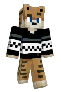 TiG_rR Minecraft avatar full body