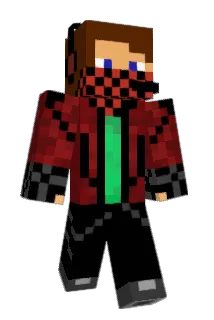 TiMDi Minecraft avatar full body