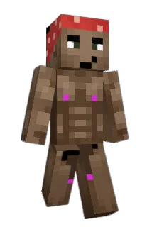 Tiaabeanie Minecraft avatar full body