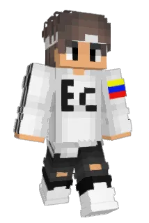 Tickets_ Minecraft avatar full body