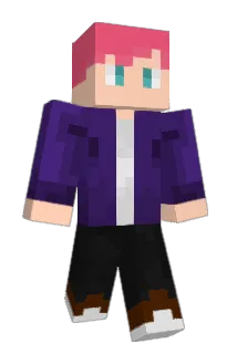 Ticketvenn Minecraft avatar full body
