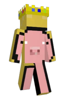 Ticl1k Minecraft avatar full body