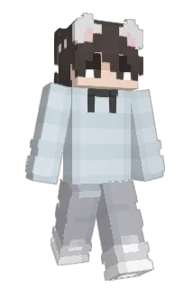 Tiddles76 Minecraft avatar full body