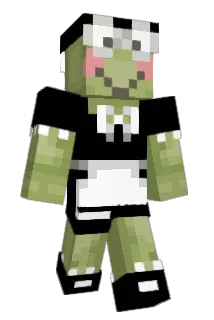 TidyTank Minecraft avatar full body