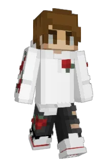 Tidymans_Carpets Minecraft avatar full body