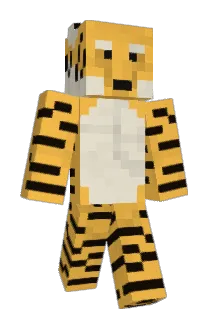 TigR_dk Minecraft avatar full body
