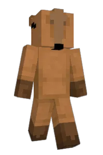 Tige_z Minecraft avatar full body