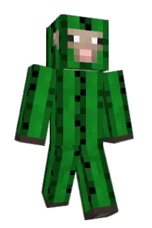 Tiger773 Minecraft avatar full body