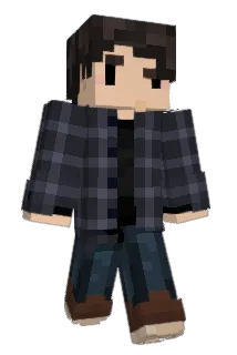 TigerGamer134 Minecraft avatar full body