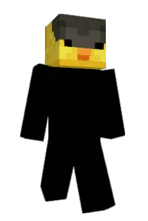 TigerSalami Minecraft avatar full body