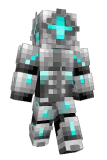 Tigerlife64 Minecraft avatar full body
