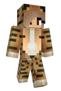 Tigersgowild8 Minecraft avatar full body