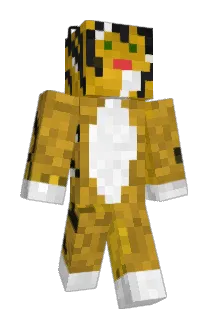 Tigi774 Minecraft avatar full body