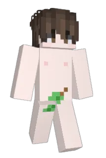 Tii_Wiwi Minecraft avatar full body