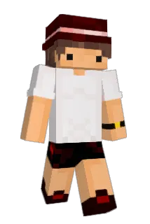 Tikerook Minecraft avatar full body