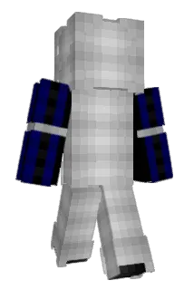 Tikli_ Minecraft avatar full body