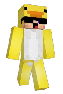 Til3006 Minecraft avatar full body