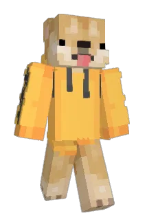 TileVasi Minecraft avatar full body