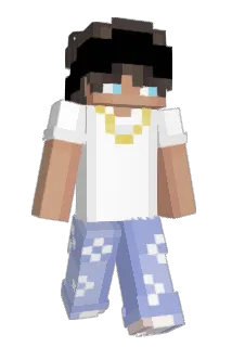 Tilix11 Minecraft avatar full body