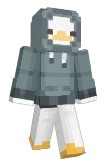 Tim4r Minecraft avatar full body