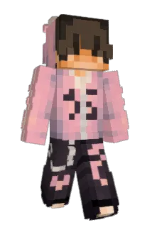 TimJC Minecraft avatar full body