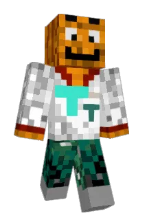 Tim_Tech_Dev Minecraft avatar full body