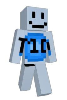 Tim_der_1 Minecraft avatar full body