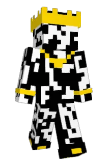 Timbaboe Minecraft avatar full body