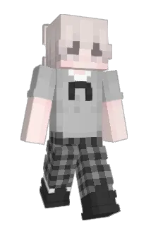 Timchewed Minecraft avatar full body