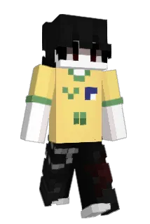 Timer79 Minecraft avatar full body