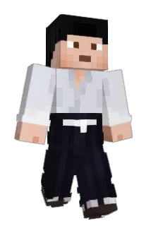 Timgurke2010 Minecraft avatar full body
